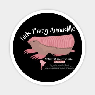 Pink Fairy Armadillo Magnet